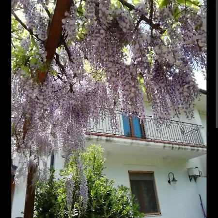 Domus Pacis Guest house *